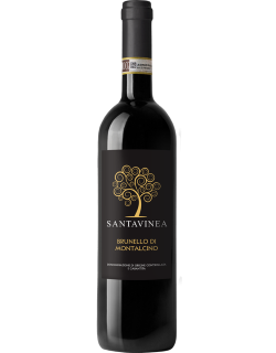 Brunello di Montalcino Santavinea