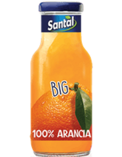 Narancs Santal üveges 0,25L
